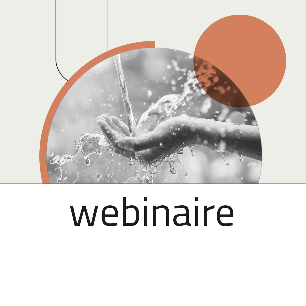 webinaire site 11 077 06
